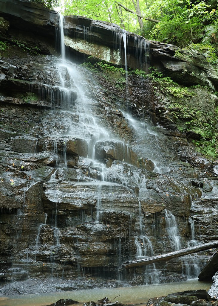 Photo by Stephen Heck