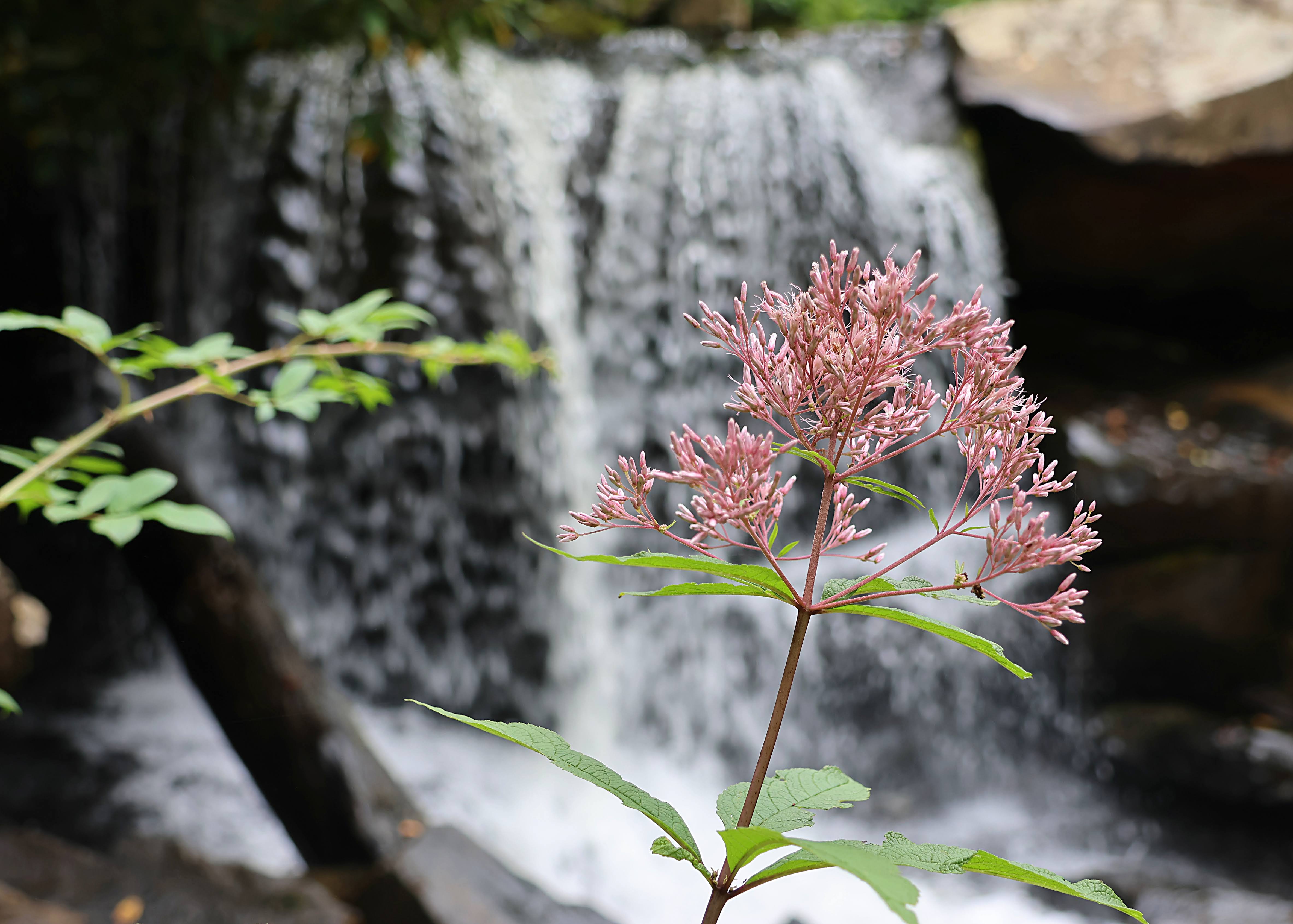 Photo by Stephen Heck