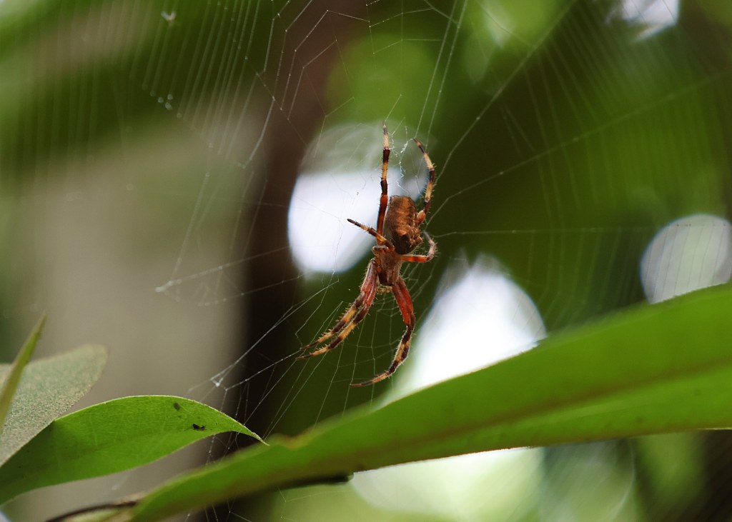 Photo by Stephen Heck