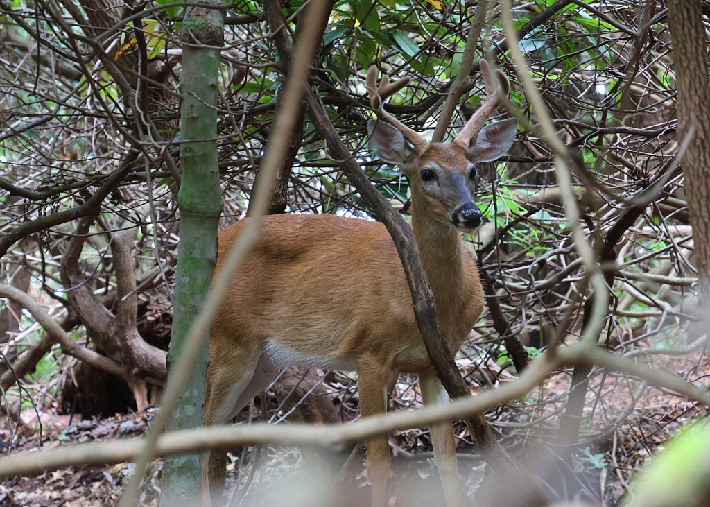 Photo by Stephen Heck