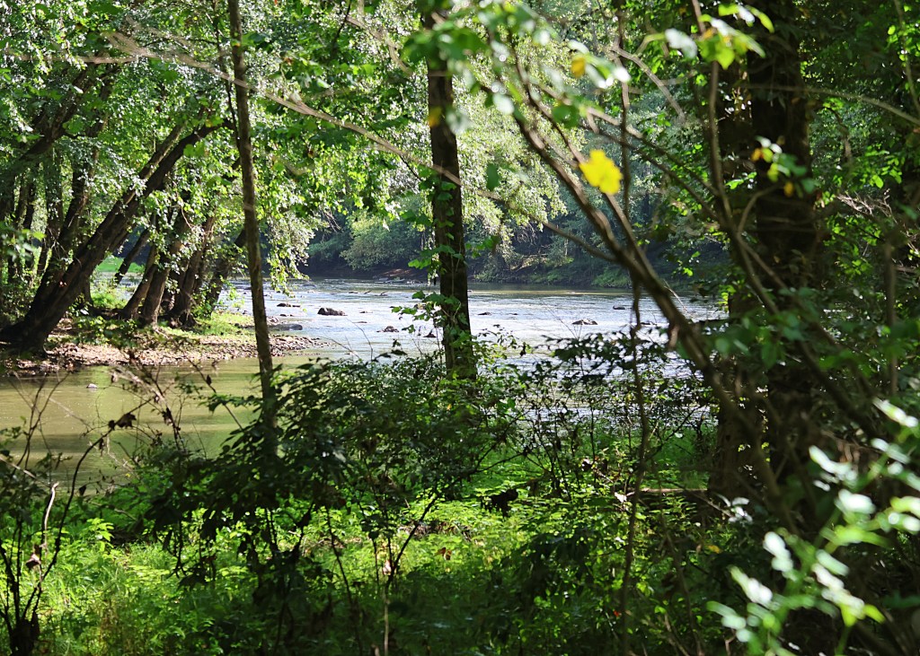 Photo by Stephen Heck