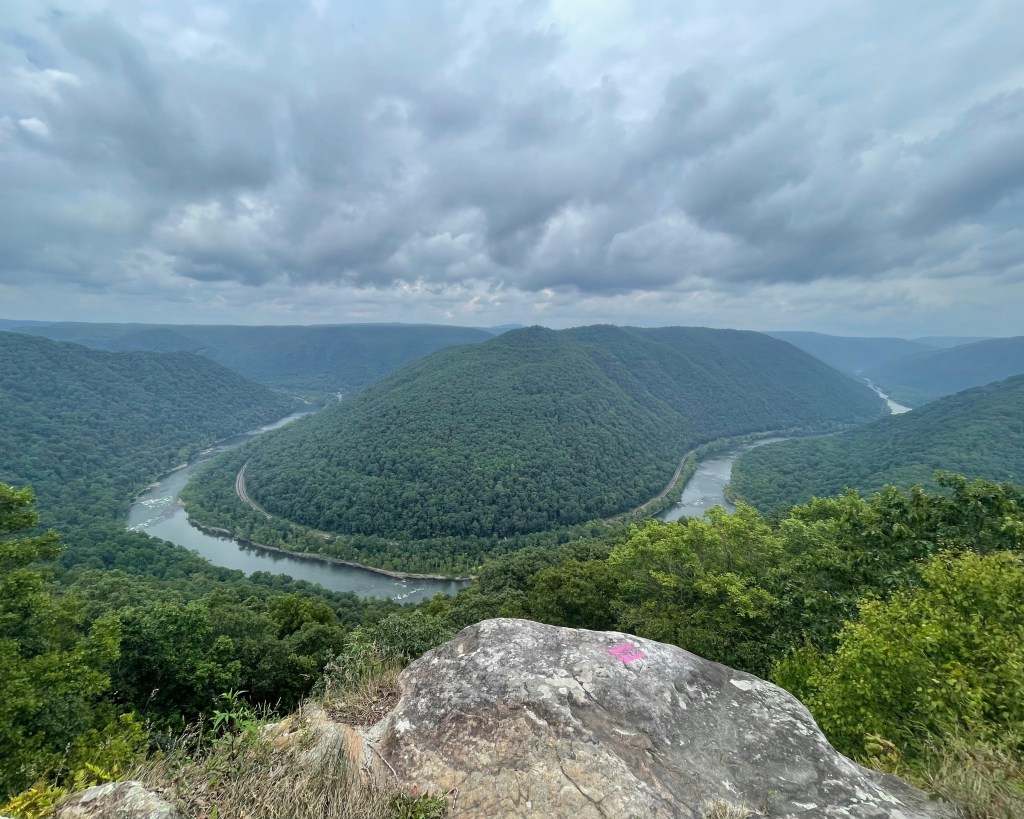 Photo by Natasha Allen