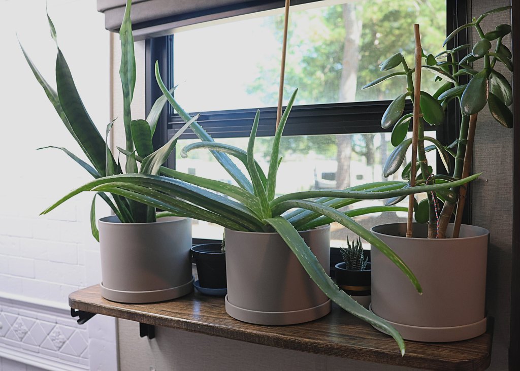 Enhancing Your RV Space with a DIY Drop Shelf for&nbsp;Plants